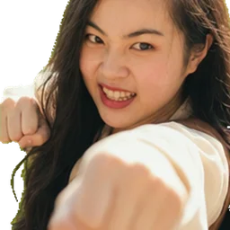 Punch