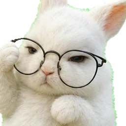 Glasses adjust