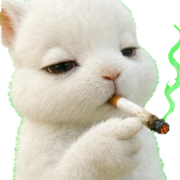 Smoking